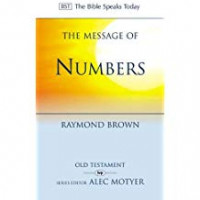 Image of The Message Of Numbers